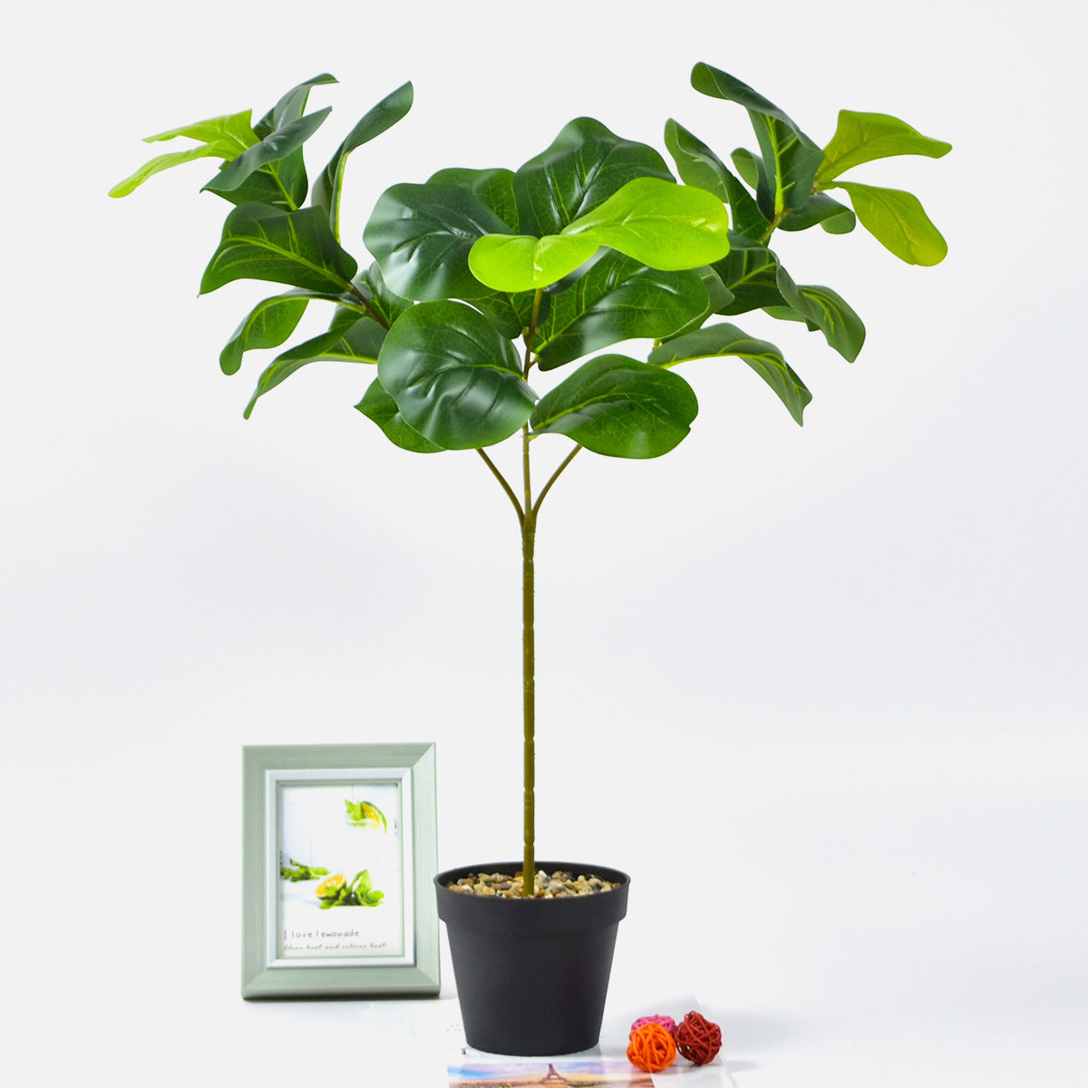 Nordic Style Potted Plants And Green Plants For Home Decoration