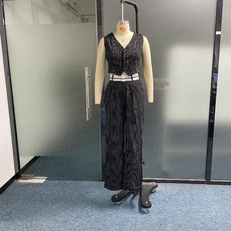 Leisure V-neck Sleeveless Striped Vest Straight Leg Pants Set