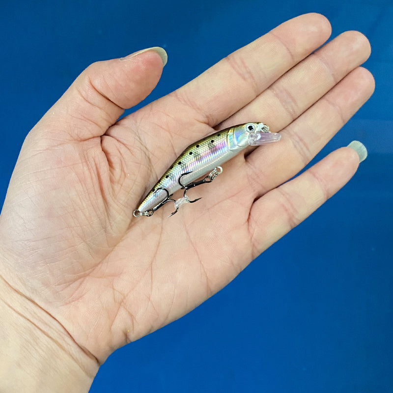 Fashion Personality Warped Mouth Bass Dummy Bait