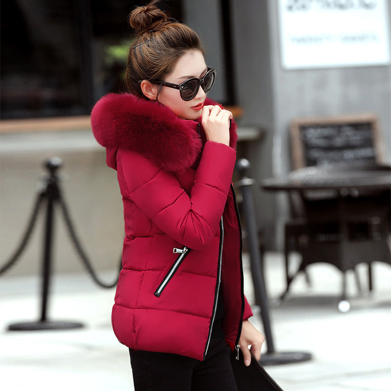 Korean Style Hooded Padded Jacket All-Match Small Padded Jacket