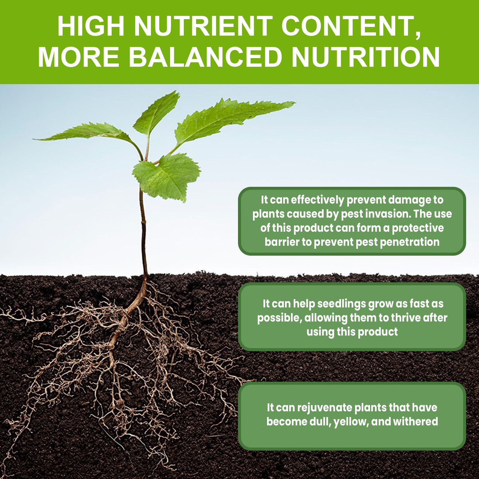 Rapid Rooting Nutrient Solution Of Auxin Stiff Seedlings