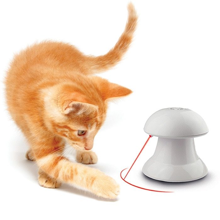 LED laser laser cat turntable funny cat stick
