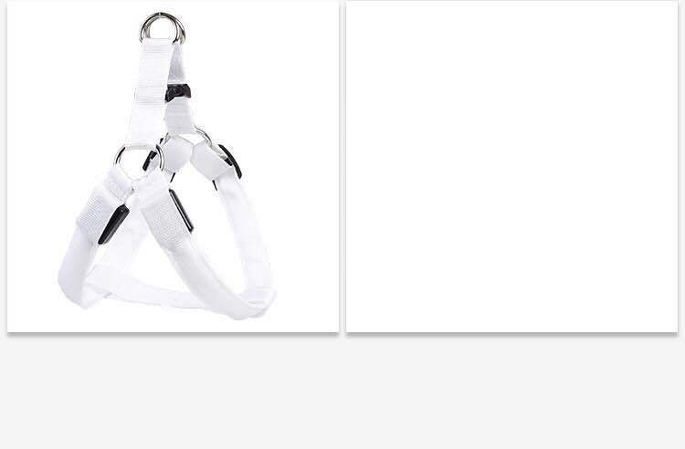 Dog Leashing Vest With Led Illuminated Chest Back