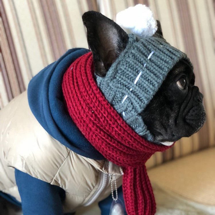 Anglo-FrenchBulldog Pug Funny Hat