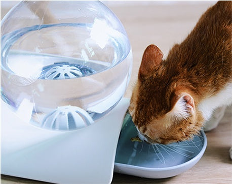Bubble Pet Cat Non Wet Mouth Water Dispenser