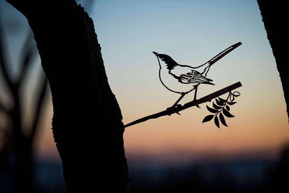 Owl Bird Hummingbird Woodpecker Silhouette Garden Plug-in