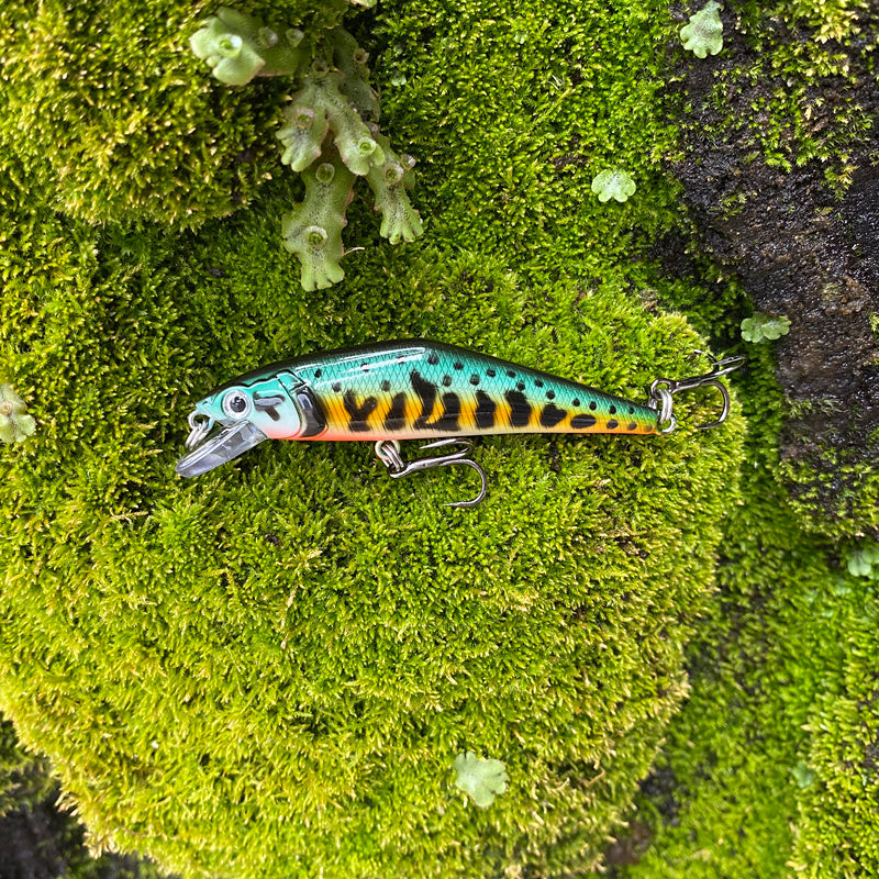 Fashion Personality Warped Mouth Bass Dummy Bait