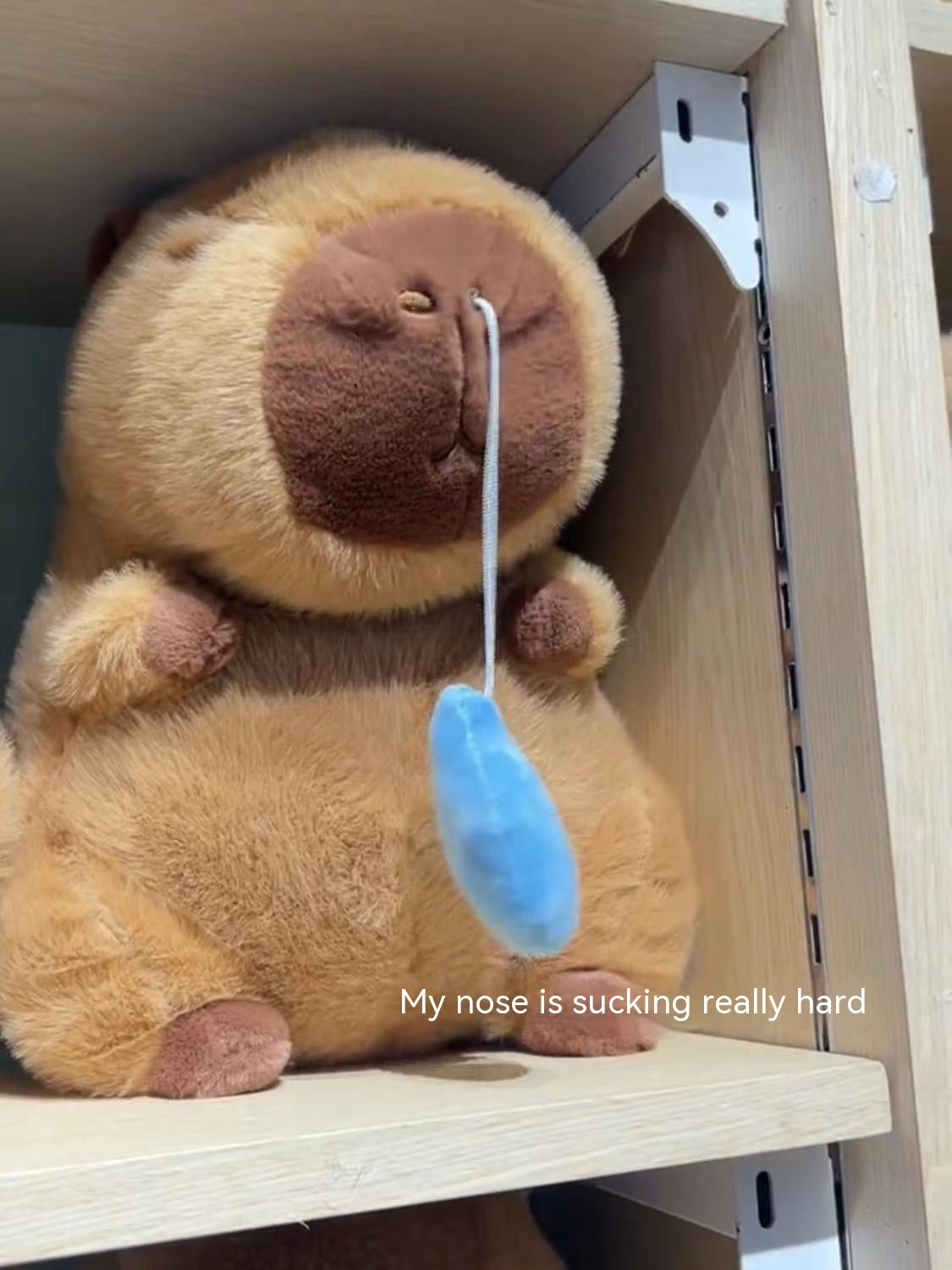 New Capibara Snot Withdraw Doll Doll Plush Toy Capybara Ugly And Cute Pillow Capybara Online Influencer Cute