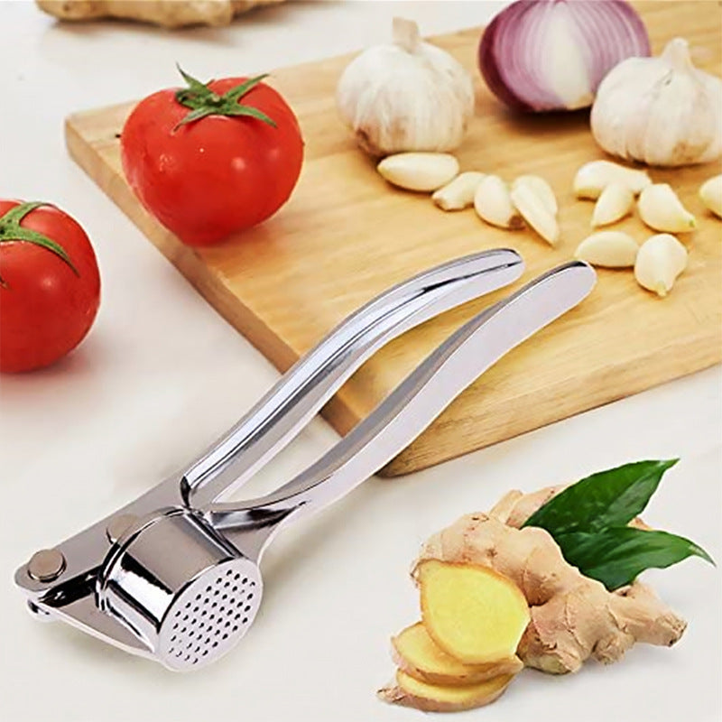 Creative Kitchen Manual Meshed Garlic Device