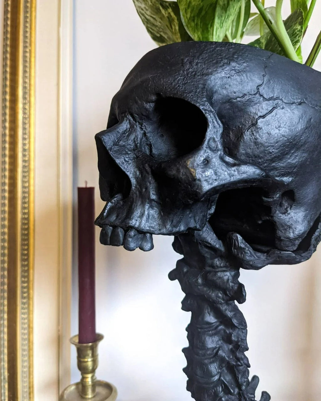 Skull Flower Pot And Spine Rack Set