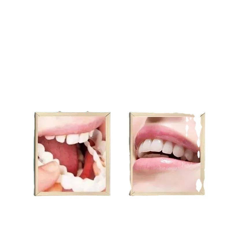 Simulation Teeth Tooth Socket Eating Artifact