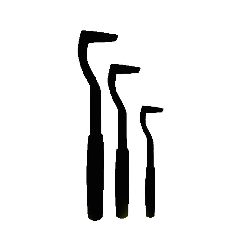 Pet Tick Extractor Tick Hook