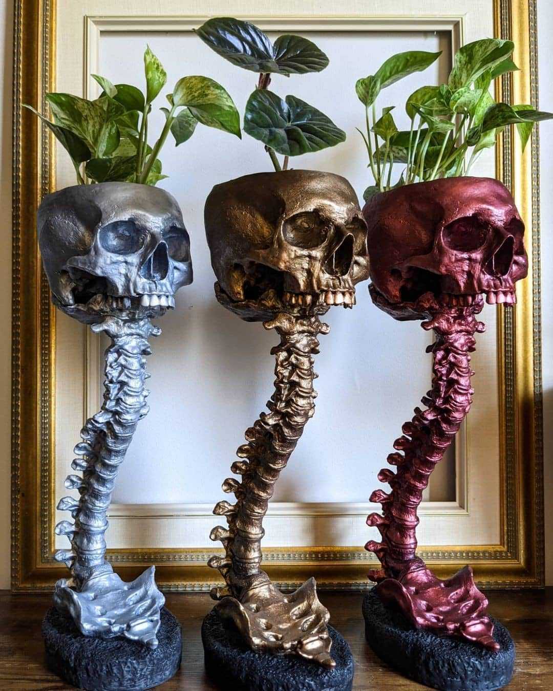 Skull Flower Pot And Spine Rack Set