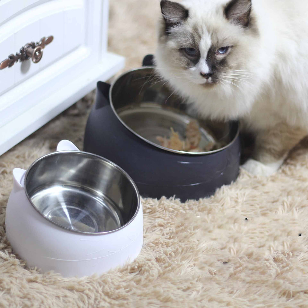 200mlStainless Steel Oblique Mouth Pet Cat Bowl