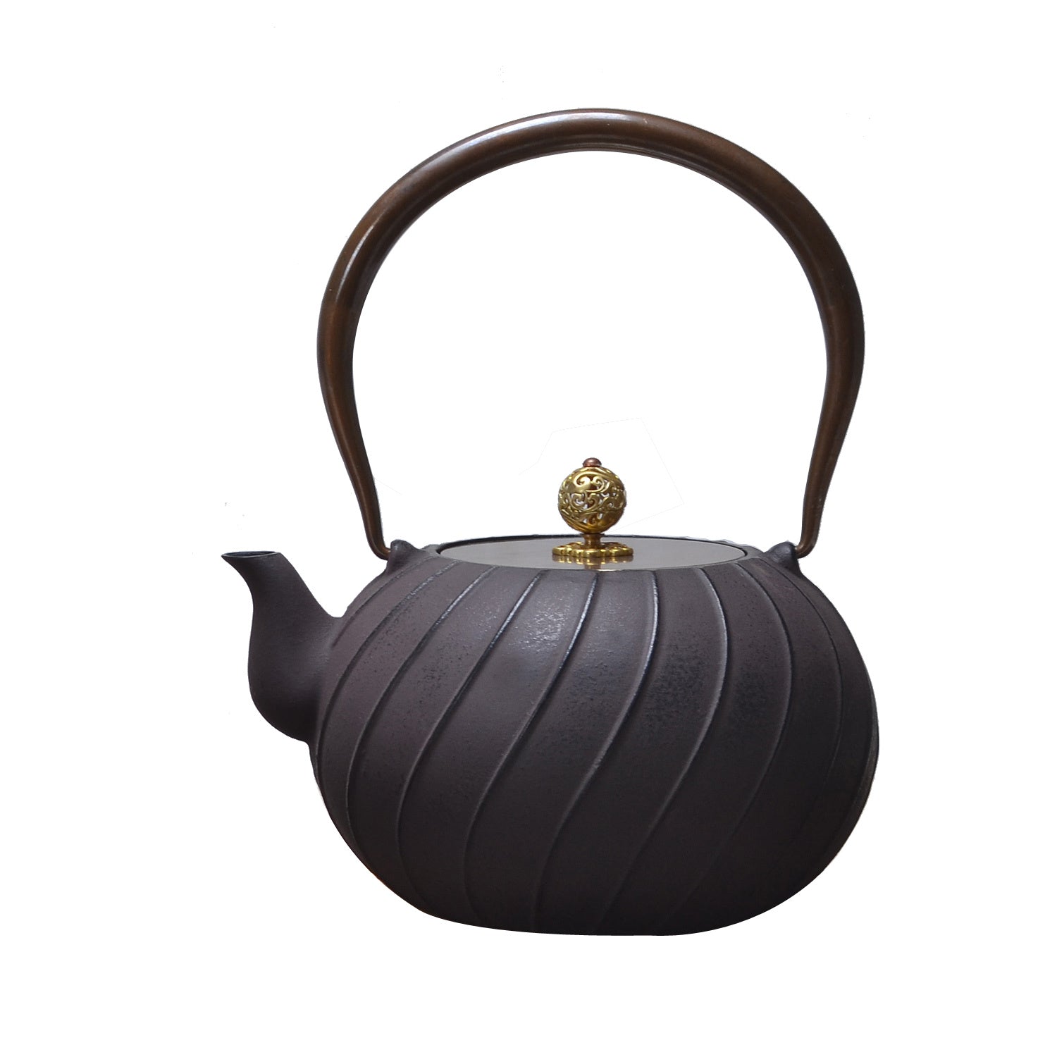 Daiji unglazed cast iron teapot