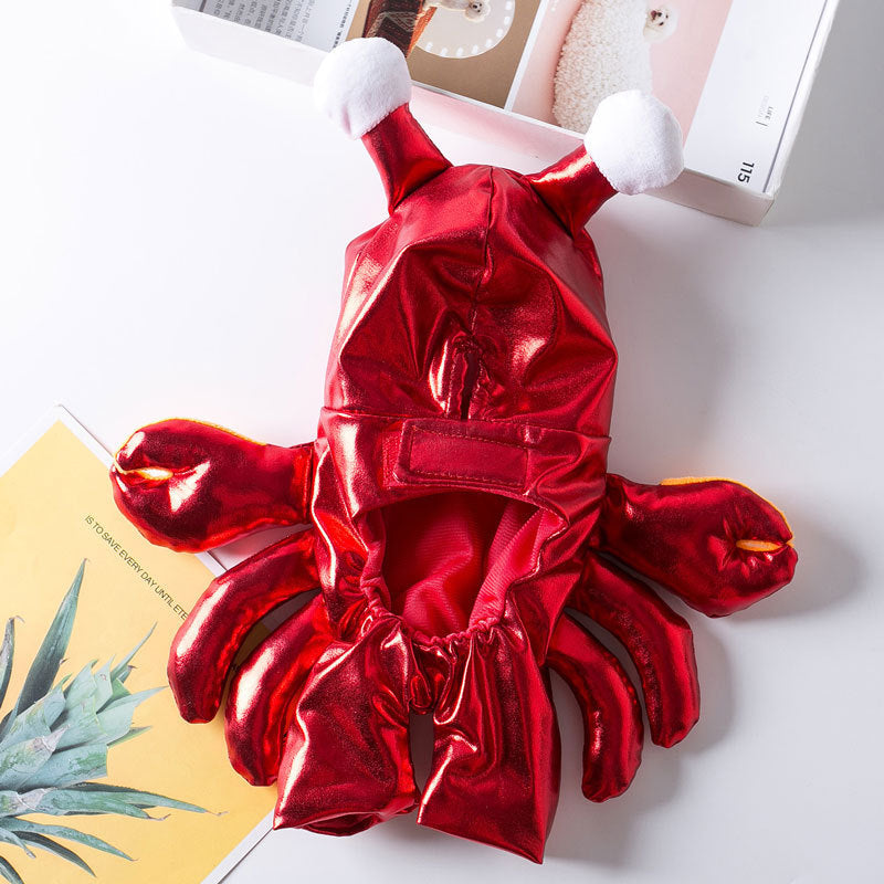 Turn Into A Cat And Dog Costume For Halloween