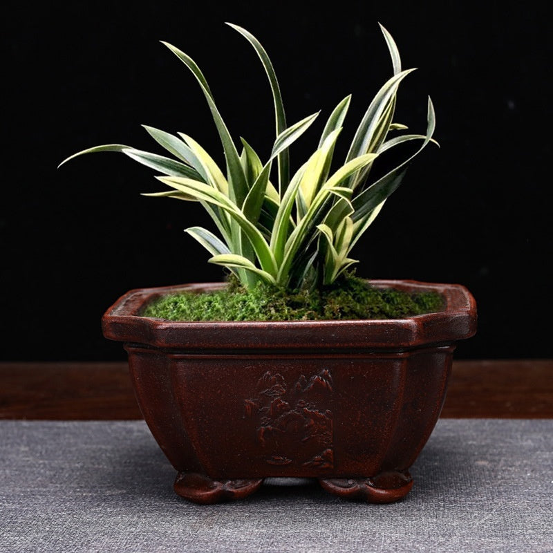 Purple Sand Flowerpot Small Size Antique Square Desktop Bonsai