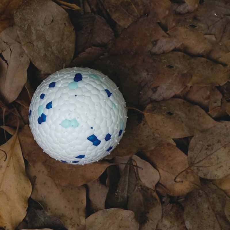 ETPU Resistant Teeth Chewing Pet Dog Toy Ball