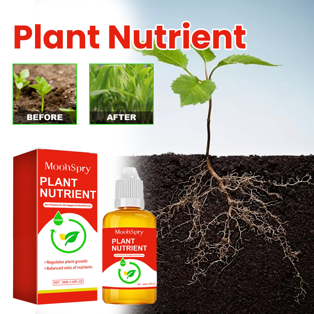 Rapid Rooting Nutrient Solution Of Auxin Stiff Seedlings