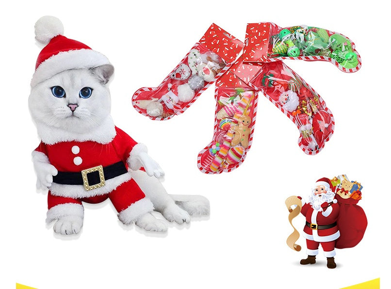 Warm Winter Cat Christmas Gift Set