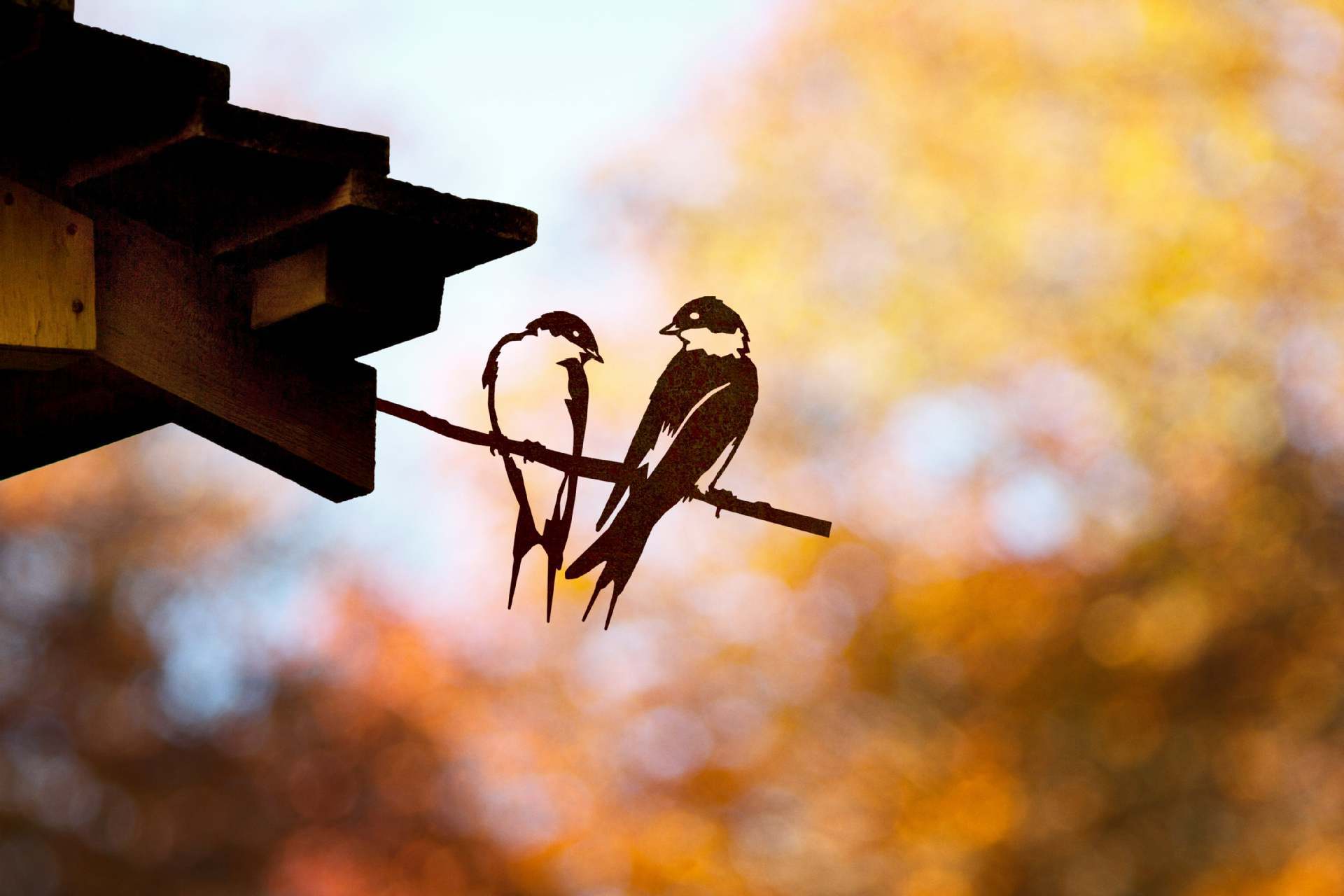 Owl Bird Hummingbird Woodpecker Silhouette Garden Plug-in