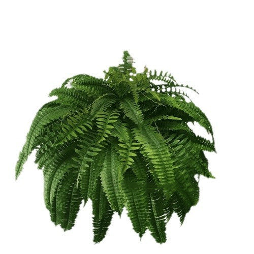 Artificial Fern Flower Arrangement Green Plant Plastic Crafts