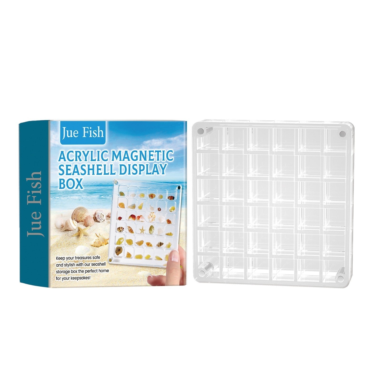 Acrylic Magnetic Seashell Display Box