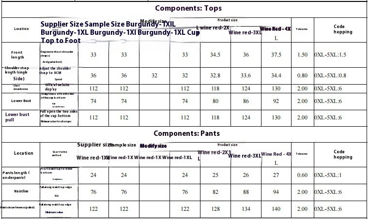 Plus Size Embroidery Steel Ring One-piece With Garter