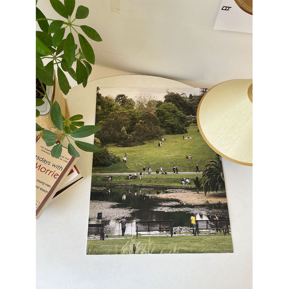 Lawn Park Bedroom Room Background Layout Decorative Painting