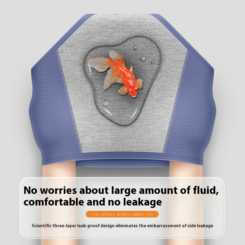 Women's Physiological Underwear Menstruation Period Leak-proof Holiday Safety Mid-waist Ice Silk Summer Thin