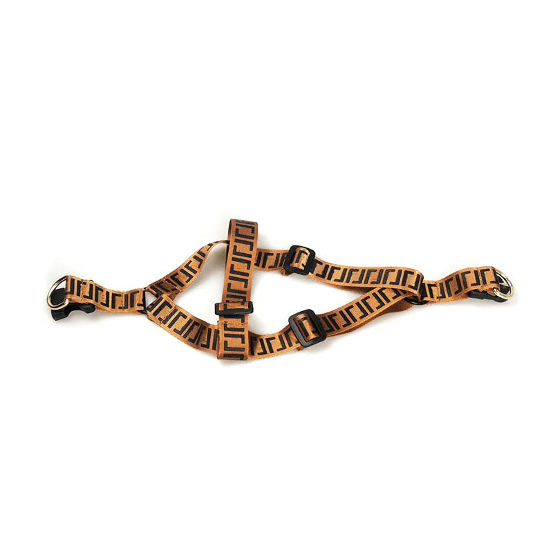 Pet Fashion Brand Dog Leash Collar