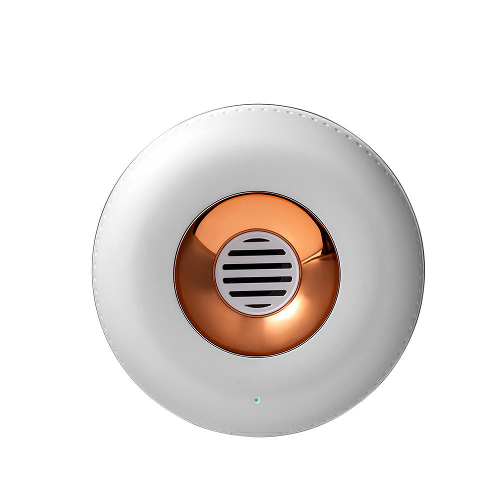 Refrigerator Deodorizer Ozone Sterilization Sterilizer