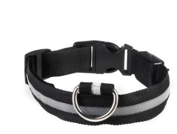 Rechargeable LED Collar
