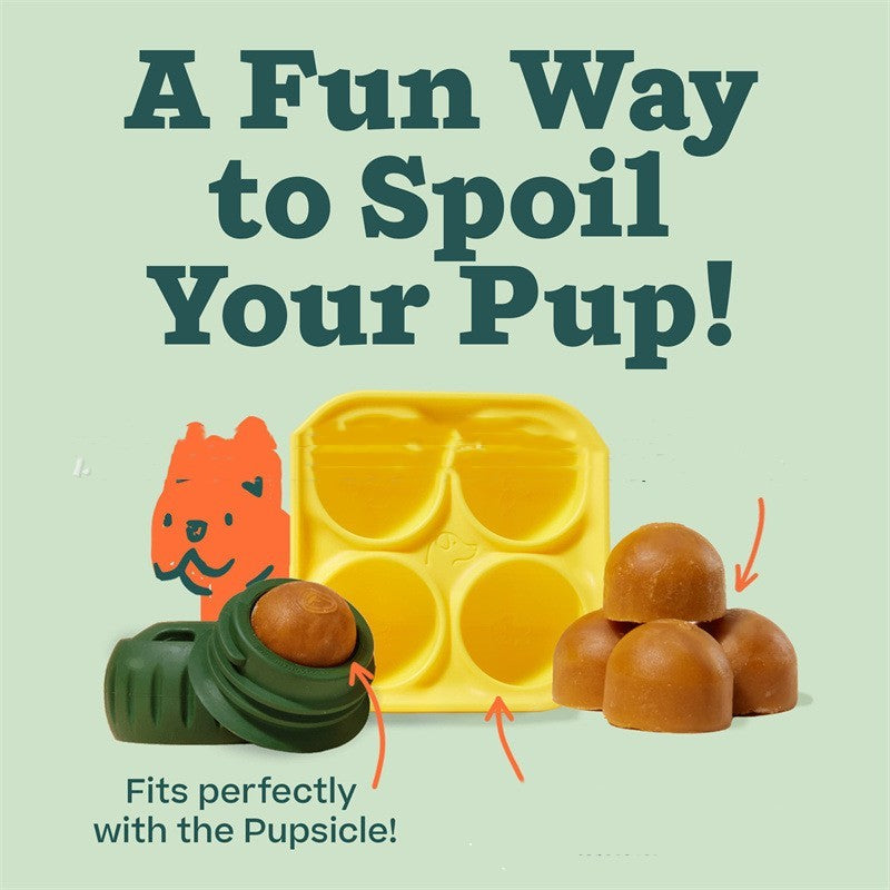 Dog Snack Tray Mold Reusable