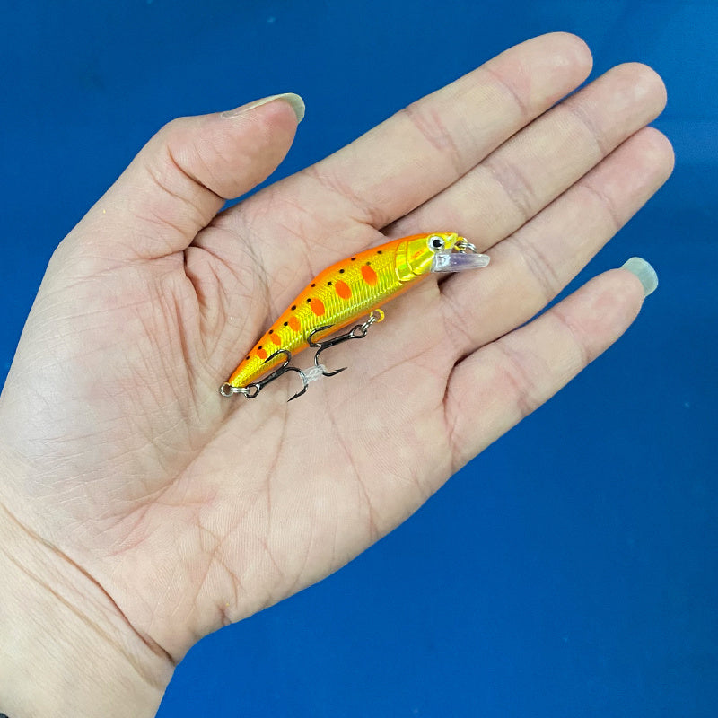 Fashion Personality Warped Mouth Bass Dummy Bait