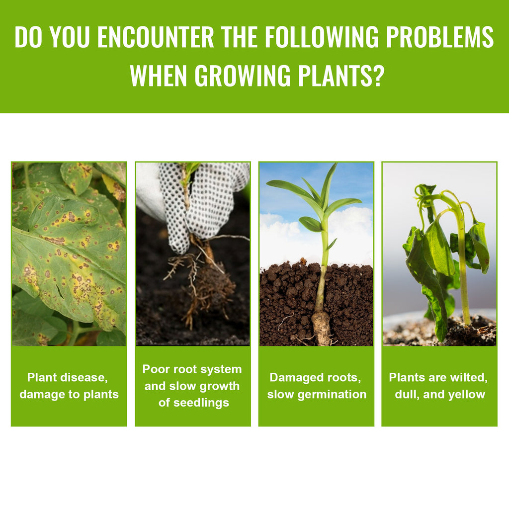 Rapid Rooting Nutrient Solution Of Auxin Stiff Seedlings