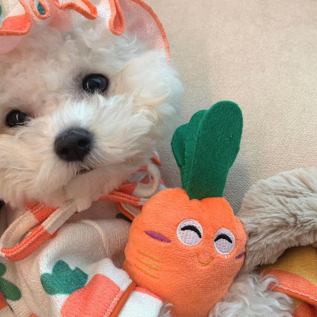 Ins Plush Carrot Voice Cute Dog Toy