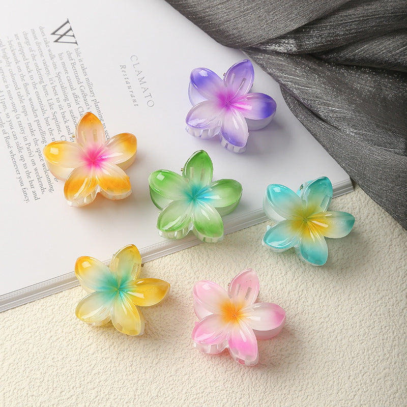 4cm Bauhinia Small Hair Grabbing Clip Simple Plumeria Rubra Bath Hair Clip