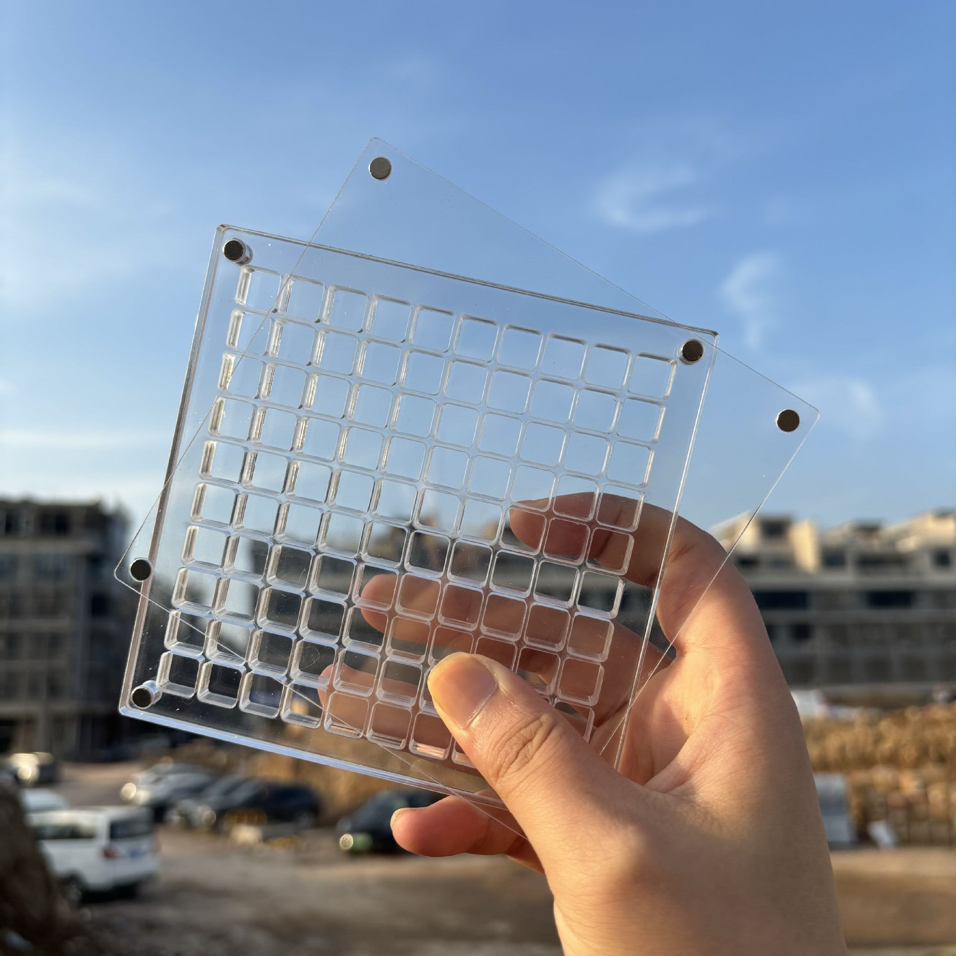 Creative Transparent Acrylic Shell Storage Box