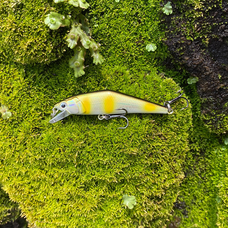 Fashion Personality Warped Mouth Bass Dummy Bait