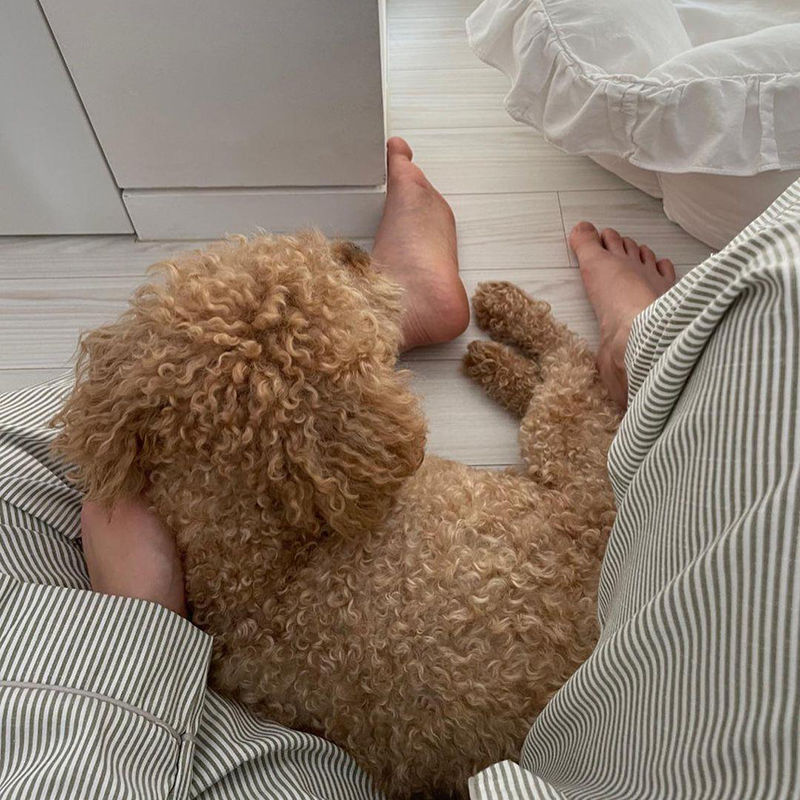 Sweet Printed Long Sleeve Trousers Homewear Suits