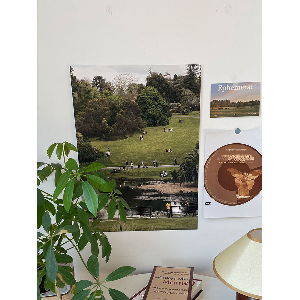 Lawn Park Bedroom Room Background Layout Decorative Painting