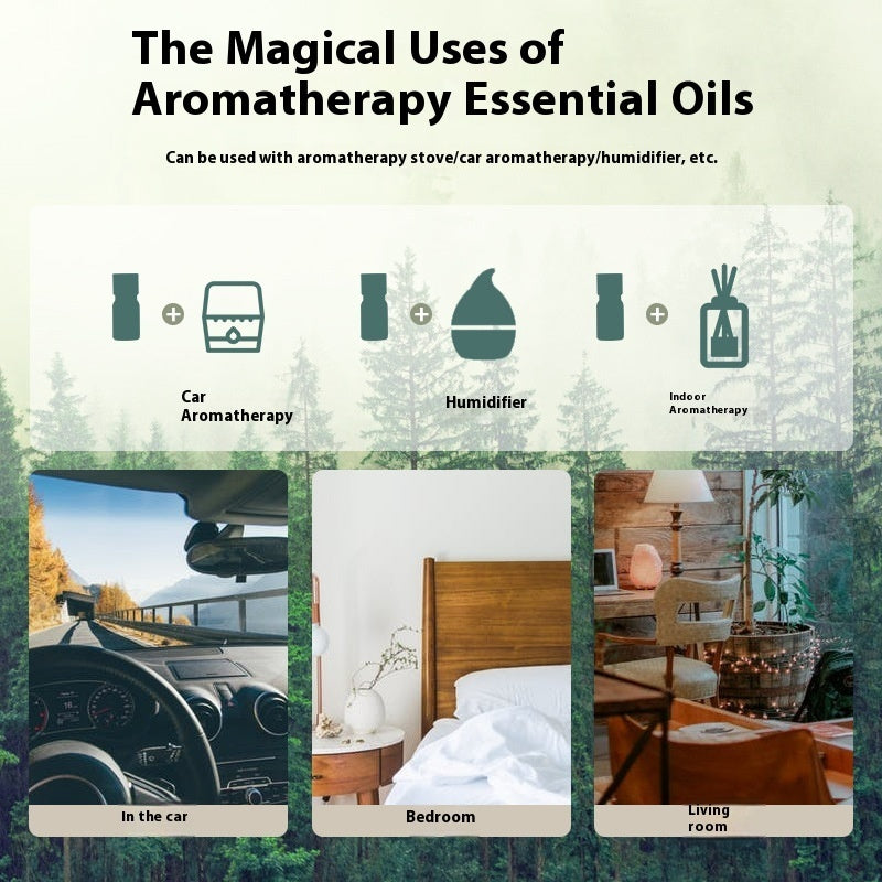 Glass Liquid Body 5ML Essential Oil Replenisher