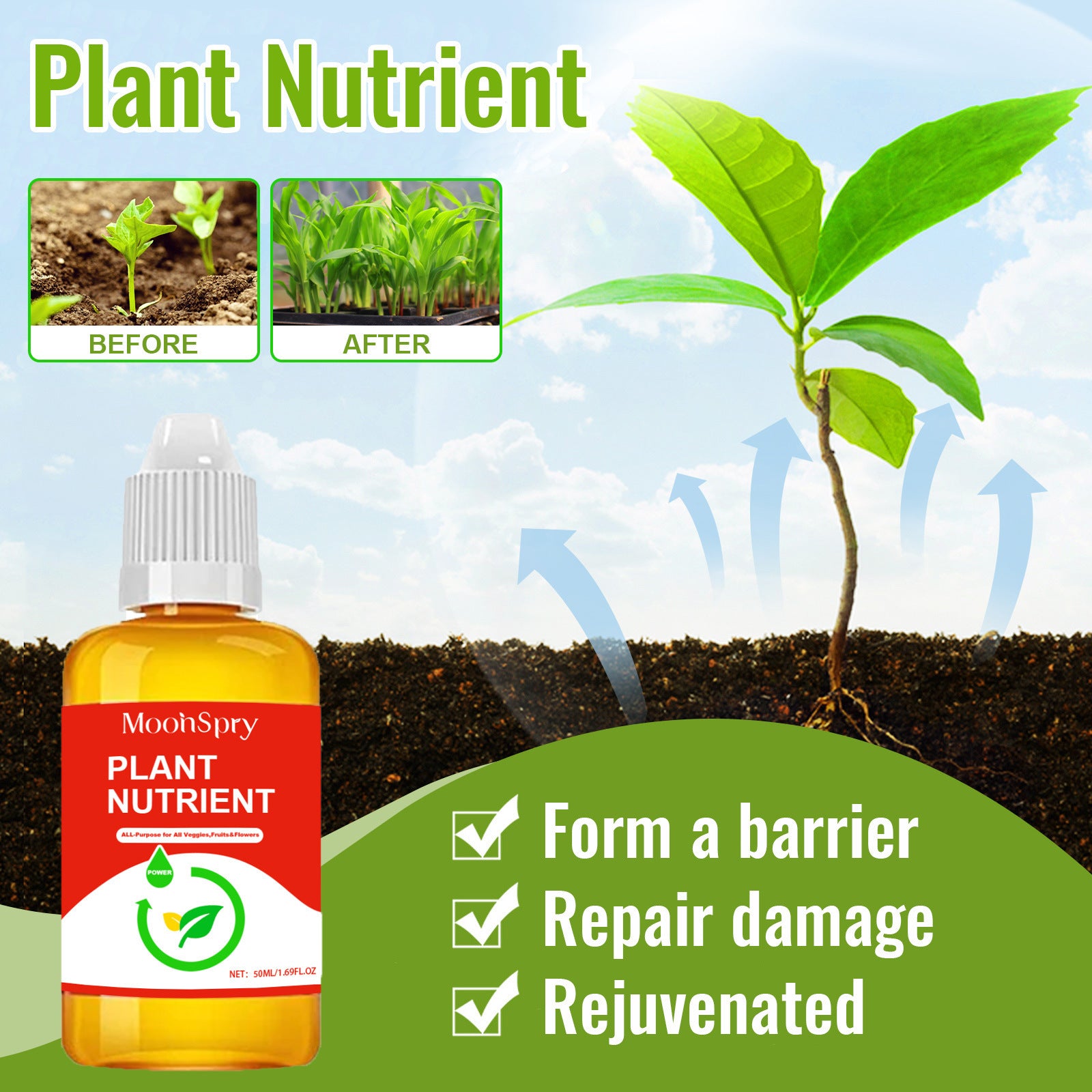 Rapid Rooting Nutrient Solution Of Auxin Stiff Seedlings