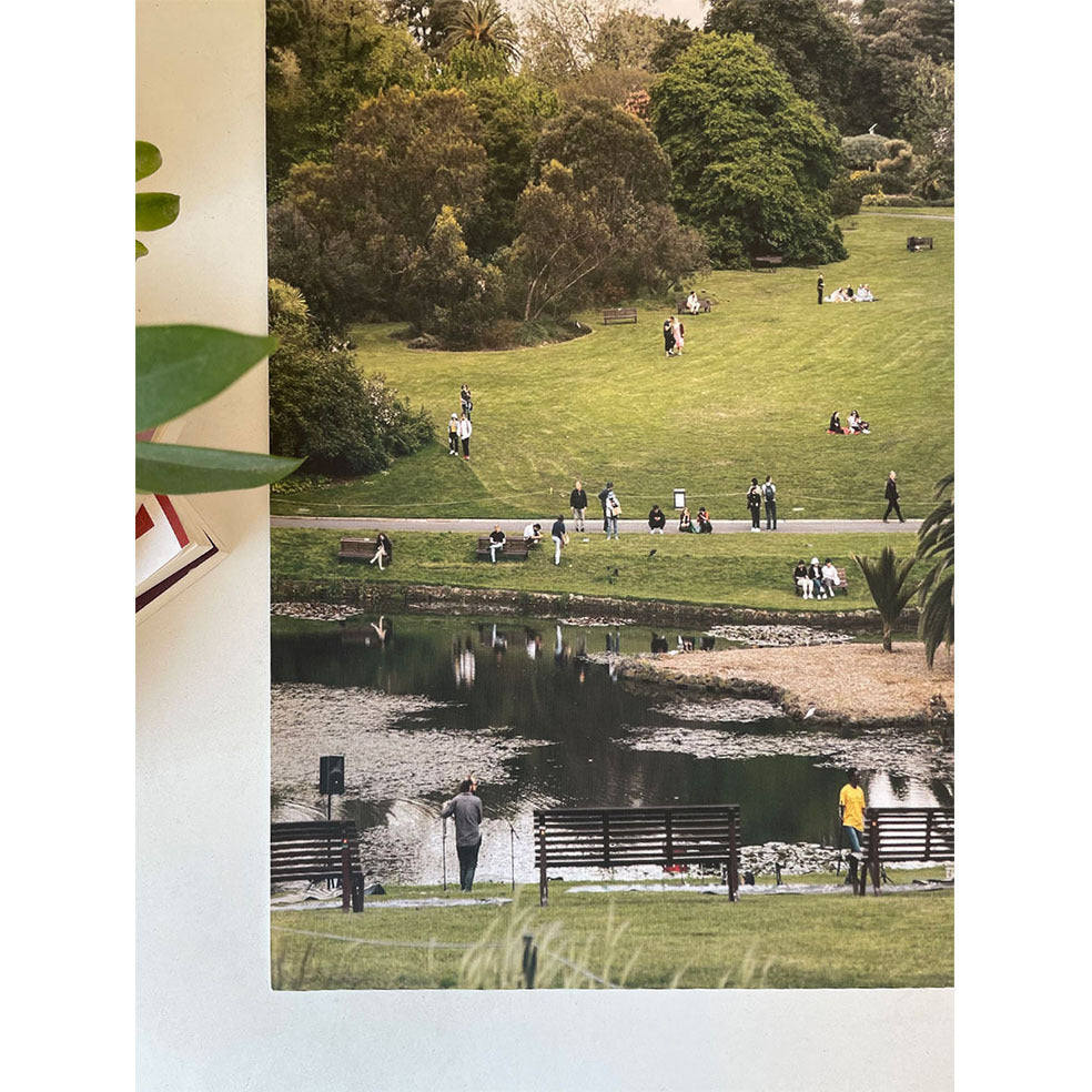 Lawn Park Bedroom Room Background Layout Decorative Painting