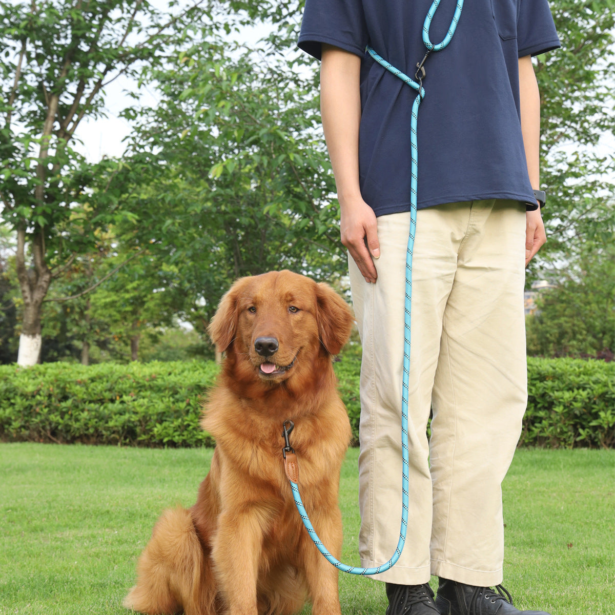 Pet Multifunctional Adjustable Reflective Hand Holding Rope