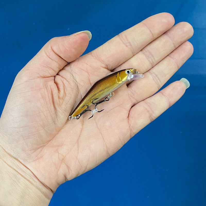 Fashion Personality Warped Mouth Bass Dummy Bait