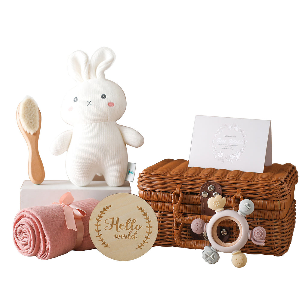 Baby Full-year Photo Commemorative Bath Doll Set