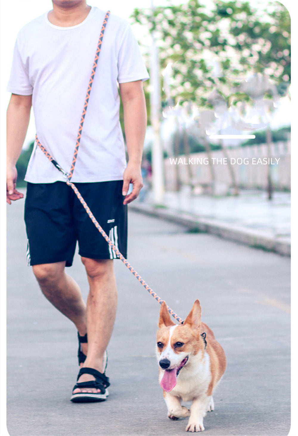 Multifunctional Oblique Cross Waist Running Pet Dog Traction Rope Chain