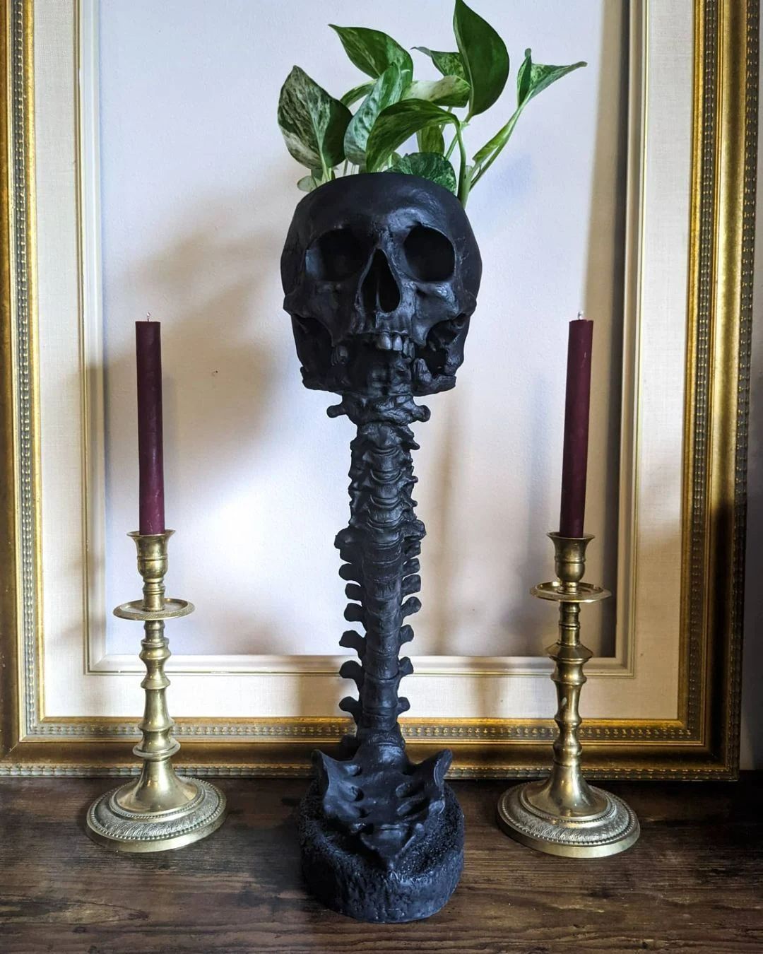 Skull Flower Pot And Spine Rack Set